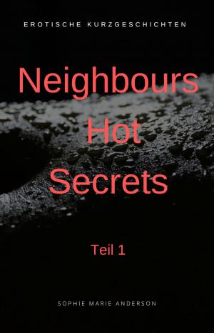 Cover of the book Neighbours Hot Secrets by Christoph Buchfink, Andy Clapp
