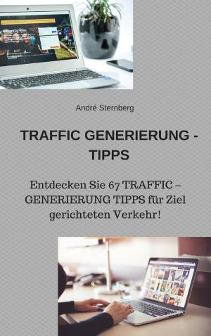 Book cover of Traffic Generierung Tipps