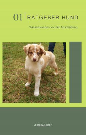 Cover of the book Ratgeber Hund by Florian Tietgen