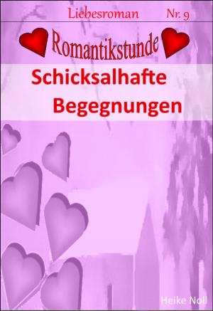 Cover of the book Schicksalhafte Begegnungen by Arik Steen