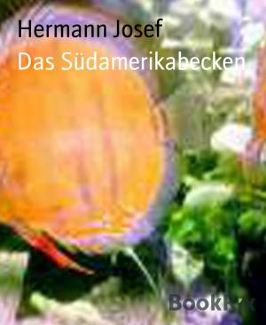 Cover of the book Das Südamerikabecken by Michael J. Awe, Andreas Fieberg, Joachim Pack