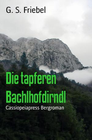 Book cover of Die tapferen Bachlhofdirndl