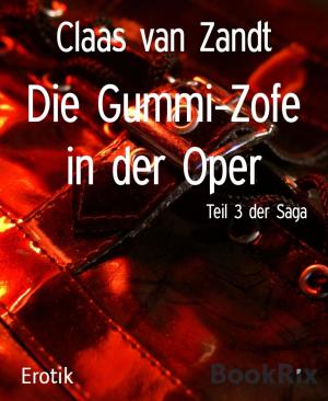 Cover of the book Die Gummi-Zofe in der Oper by Peter Dubina