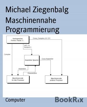 Cover of the book Maschinennahe Programmierung by Jan Gardemann