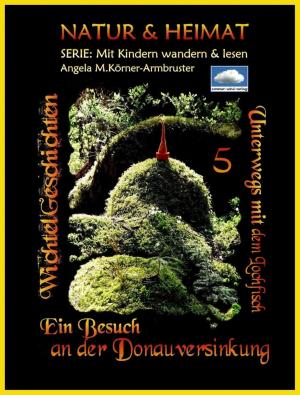Cover of the book Besuch an der Donauversinkung by Rittik Chandra