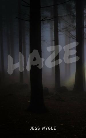 Cover of the book Haze by Mary Pat Hyland