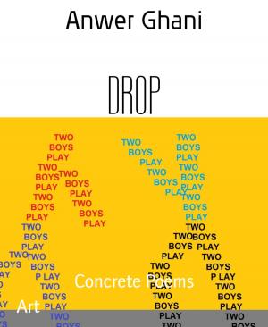 Cover of the book DROP by Stefan Wollschläger