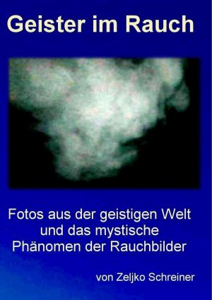 Cover of the book Geister im Rauch by Edgar von Cossart