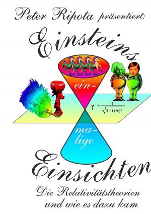 Cover of the book Einsteins einmalige Einsichten by Michael Nörtersheuser