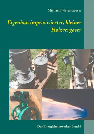 Cover of the book Eigenbau improvisierter, kleiner Holzvergaser by Ares Van Jaag