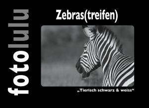 Cover of the book Zebras(treifen) by Jörg Sieweck