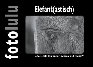 bigCover of the book Elefant(astisch) by 