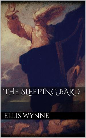 Cover of the book The Sleeping Bard by Kurt Dröge