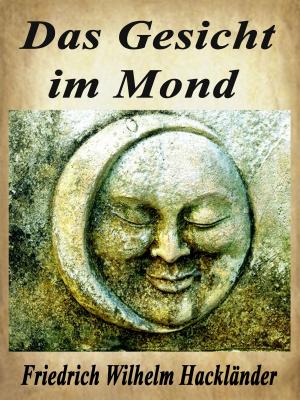 Cover of the book Das Gesicht im Mond by Michael Rodewald