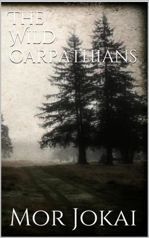 Cover of the book The Wild Carpathians by Lea-Johanna Borkenstein, Andreas Di Lenardi