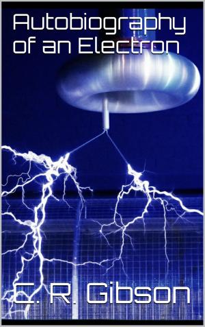 Cover of the book Autobiography of an Electron by 