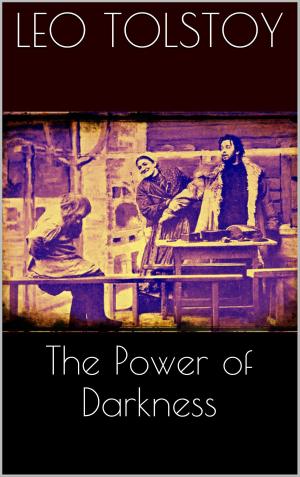 Cover of the book The Power of Darkness by Claudia J. Schulze