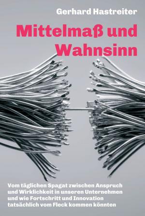 Cover of the book Mittelmaß und Wahnsinn by Kirsten Schwörer