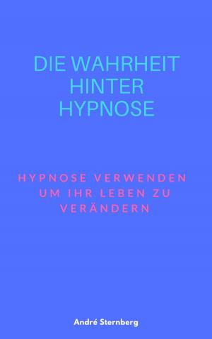 Cover of the book Die Wahrheit hinter Hypnose by Christa Schyboll