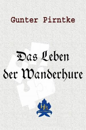 Cover of the book Das Leben der Wanderhure by Andre Sternberg