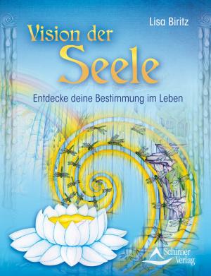 Book cover of Vision der Seele