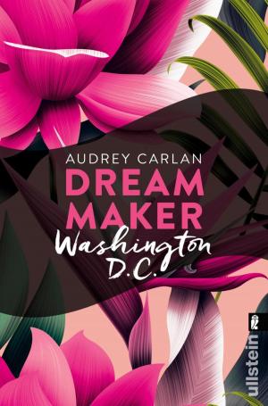 Cover of the book Dream Maker - Washington D.C. by Corina Bomann