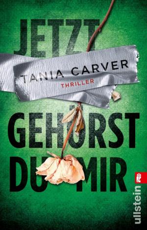 Cover of the book Jetzt gehörst du mir by Boris Grundl