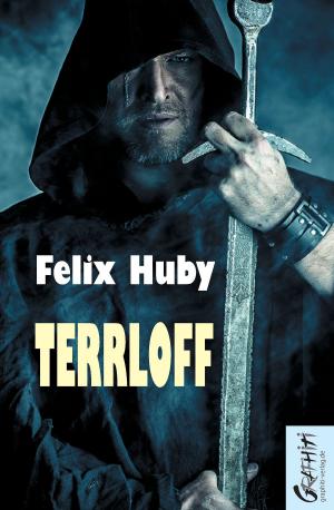 Cover of the book Terrloff by Boris Pfeiffer