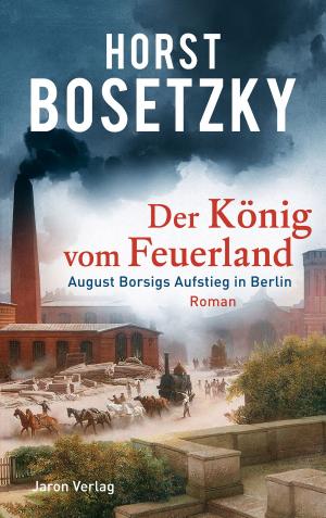 Book cover of Der König vom Feuerland