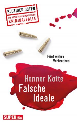 Cover of the book Falsche Ideale by Anett Steiner