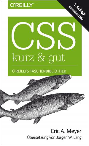 Book cover of CSS – kurz & gut