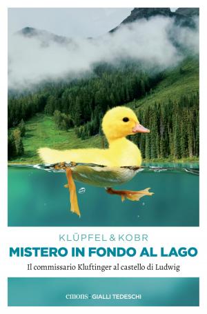 Cover of the book Mistero in fondo al Lago by Wolfgang Röhl