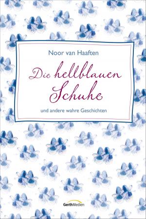 Cover of Die hellblauen Schuhe