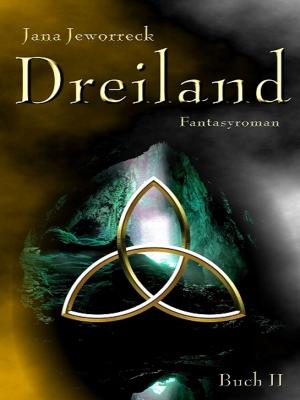 Cover of the book Dreiland II by Bernadette Maria Kaufmann