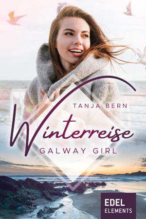 Cover of the book Winterreise by Paula Bergström
