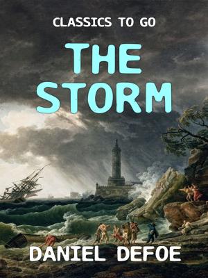 Cover of the book The Storm by Joachim Ringelnatz