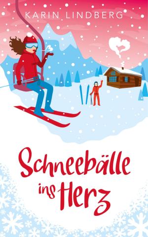Cover of Schneebälle ins Herz