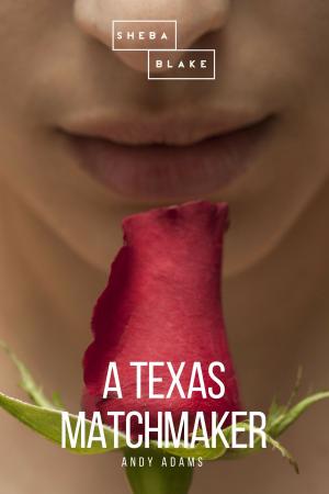 Cover of the book A Texas Matchmaker by Elbert Hubbard, Sheba Blake