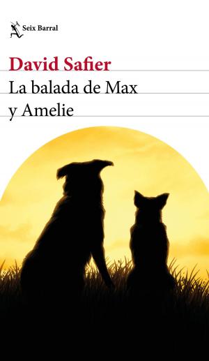 Book cover of La balada de Max y Amelie (Edición mexicana)