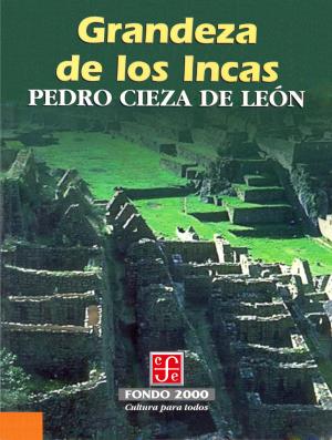 Cover of the book Grandeza de los Incas by Rubén Darío
