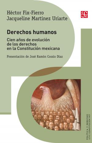 Cover of the book Derechos humanos by Ricardo Chávez Castañeda