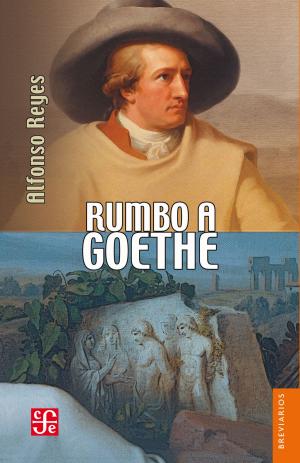 Cover of the book Rumbo a Goethe by Alfonso Reyes