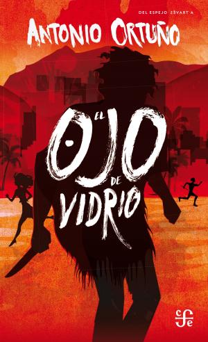 Cover of the book El Ojo de Vidrio by Anne Fine