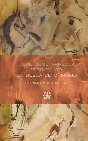 Cover of the book Perdido voy en busca de mí mismo by Antonio Deltoro