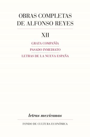 Cover of the book Obras completas, XII by Hilda R. Guerrero García Rojas, Antonio Yúnez-Naude, Josué Medellín-Azuara