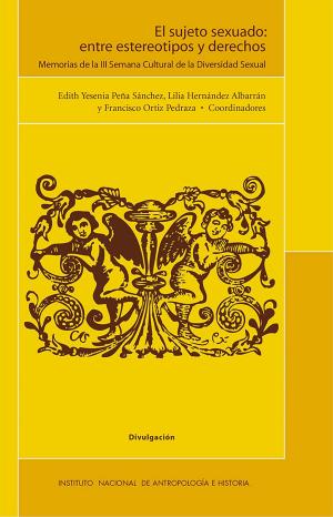 Book cover of El sujeto sexuado: entre estereotipos y derechos
