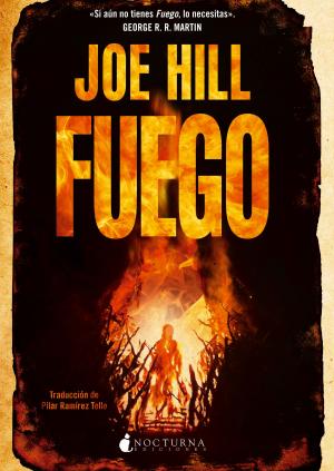 Cover of the book Fuego by Joe Hill