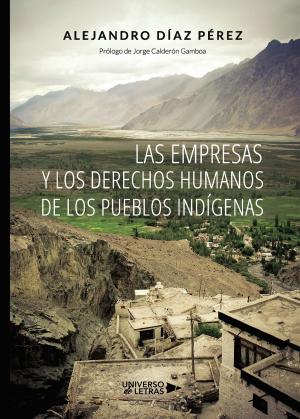 Cover of the book Las empresas y los derechos humanos de los Pueblos Indígenas by Robert Jordan