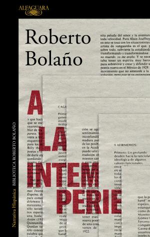 Cover of the book A la intemperie by Luis Montero Manglano