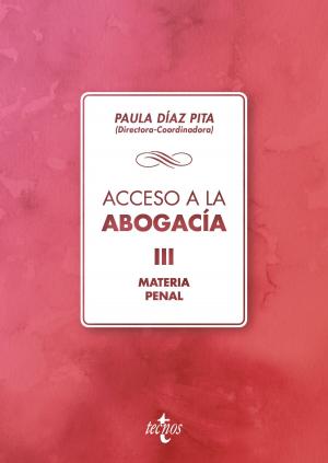 Cover of the book Acceso a la abogacía by Antonio Martín Valverde, Fermín Rodríguez-Sañudo Gutiérrez, Joaquín García Murcia